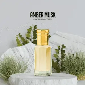 A*mber Musk