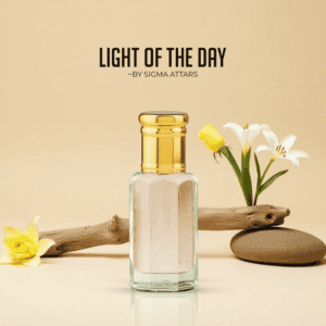 L*ight of a Day 1001